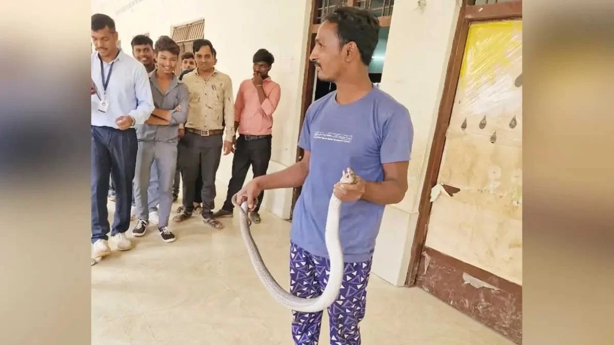 CG NEWS : सांप पकड़ना पड़ा भारी’ रेस्क्यू ऑपरेशन के दौरान स्नेक कैचर को डसा, इलाज के दौरान मौत