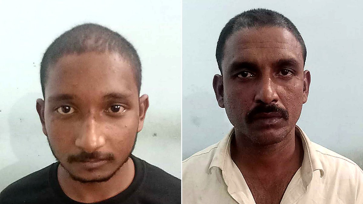 धमतरी के मरौद टोल प्लाजा पर पशु तस्करी मामले में जब्त ट्रक और 10 जर्सी गायें